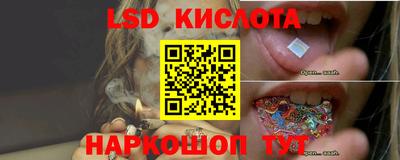 ПСИЛОЦИБИНОВЫЕ ГРИБЫ Краснодар