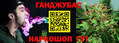 гашик Краснознаменск