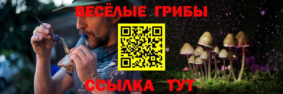 Гусев  Псилоцибиновые грибы Cubensis  где продают   Вход с VPN 